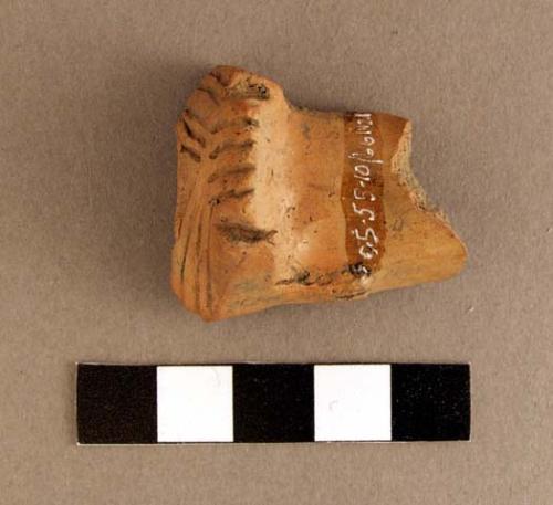 Pipe fragment