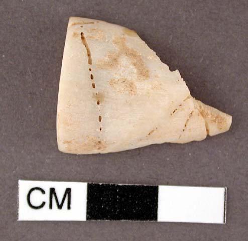 Shell, worked univalve fragment