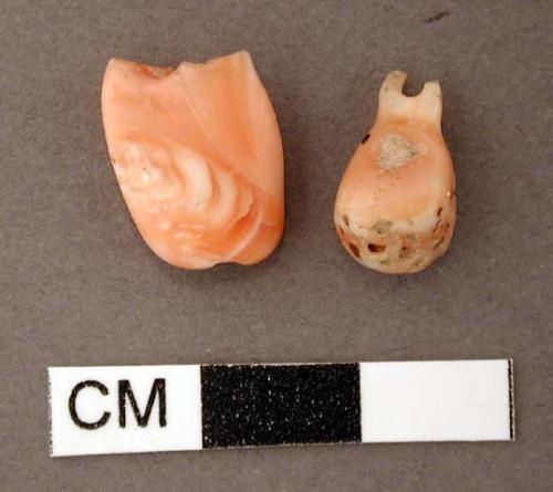 Shell ornament fragments, pink