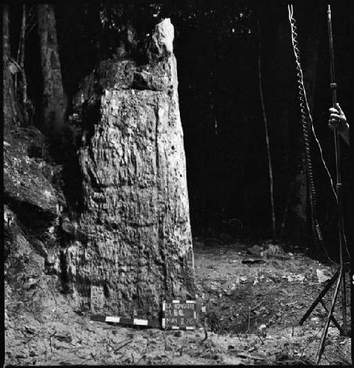 Stela 6 at La Honradez