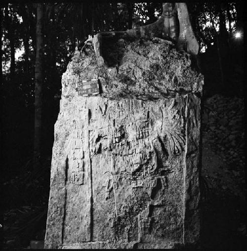 Stela 4 at La Honradez