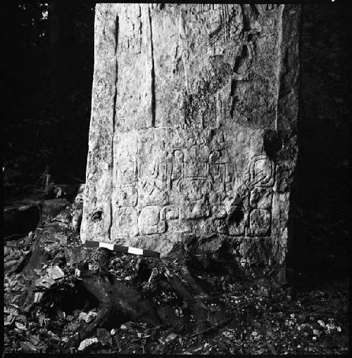 Stela 4 at La Honradez