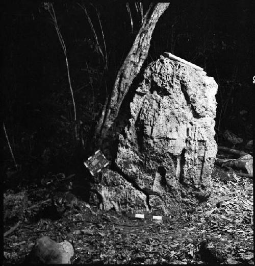 Stela 3 at La Honradez