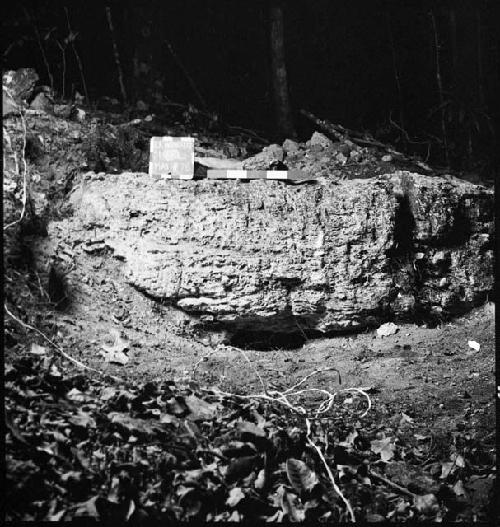 Stela 9 at La Honradez