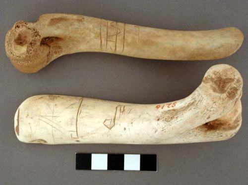 Bone shaft with perforation near joint, rounded & flattened ends & incised decor