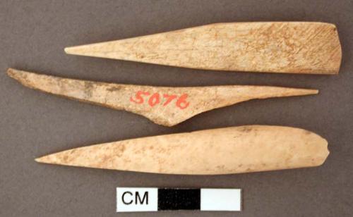 Bone points, one fragmentary