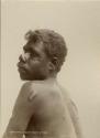 Portrait of an Aboriginal man, Cooncardi, showing the ritual scarification on his upper back and shoulders