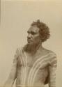 Portrait of an Aboriginal man, a Workii Warrior, with white ochre stripes painted on his chest