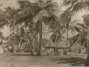 Distant shot of a group of natives sitting in a village clearing beneath a canopy of palm trees