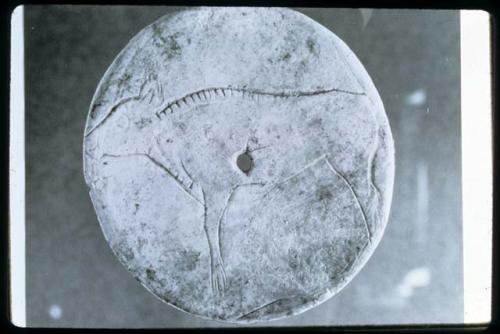 Incised calf on bone disc from Laugerue Basse Dordogne