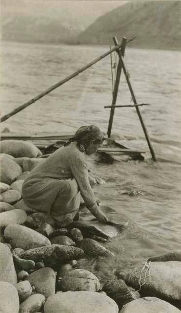 Thompson River Indian woman washing gold in pan along river