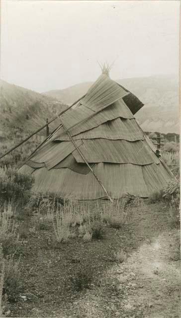 Mat tepee near Thompson River, British Columbia