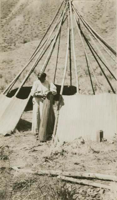 Thompson River Indian woman stripping mats off a tepee and rolling up