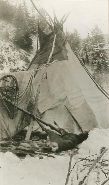 Hunting camp, "TsEkiextcEn" valley fifteen miles north of Spences Bridge