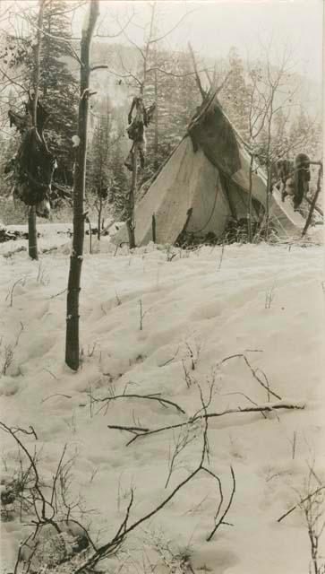 Hunting camp, "TsEkiextcEn" valley fifteen miles north of Spences Bridge, with snow on the ground