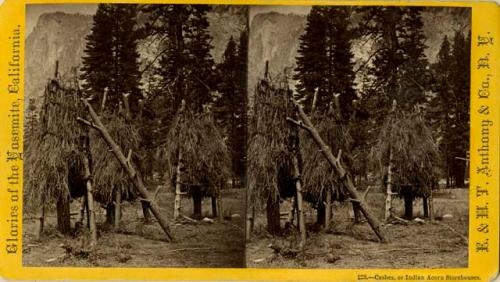 Indian acorn storehouses; Yosemite