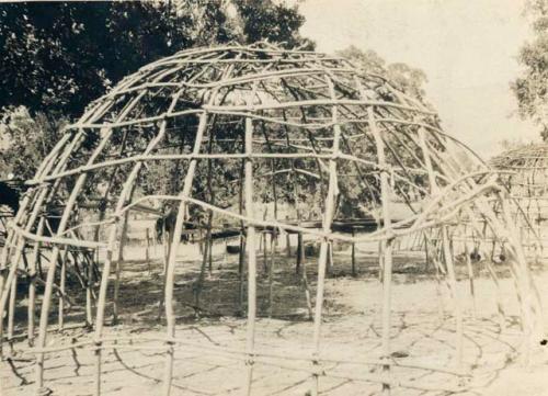 Fish-drying racks, Clear Lake, Pomo