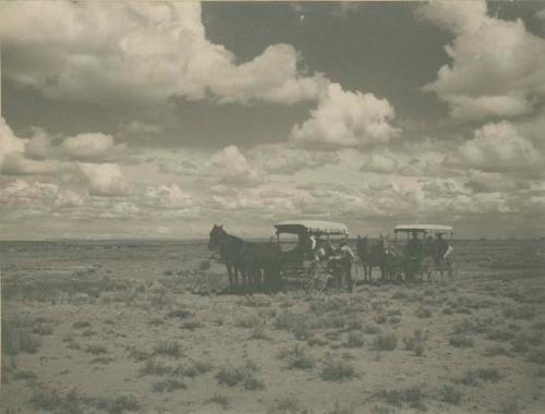 Horses and wagons on the desert