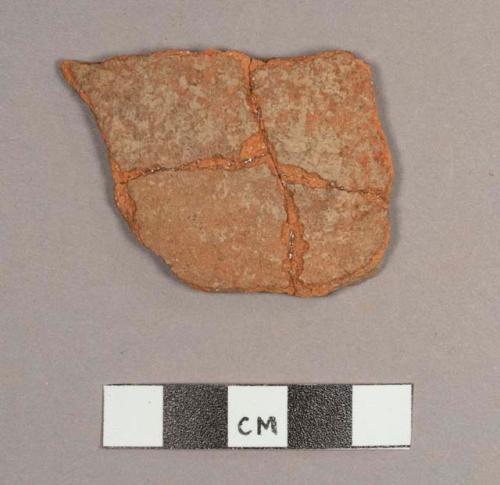 Jocote Orange-brown Potsherd: Jocote Variety