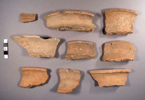 Cayo Unslipped Potsherds: Buff Variety