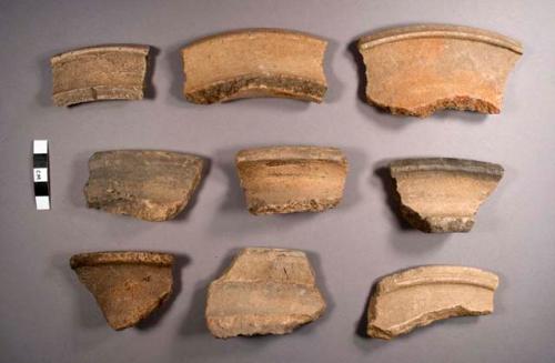 Alexanders Unslipped Potsherds: Alexanders Variety