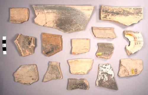 Mount Maloney Black Potsherds: Mount Maloney Variety