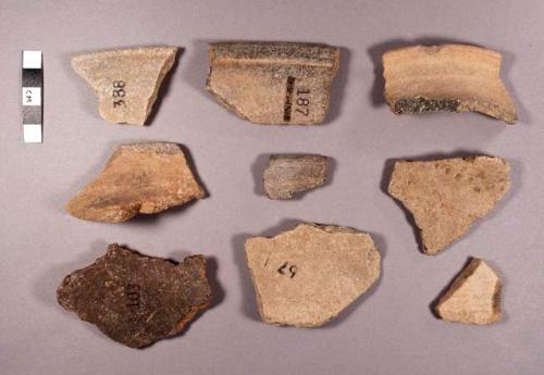 Eastern Branch Plain Potsherds: Variety Unspecified