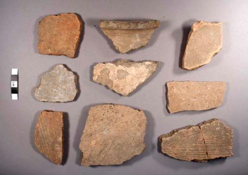 Tu-tu Camp Striated Potsherds: Variety Unspecified, Beaverdam