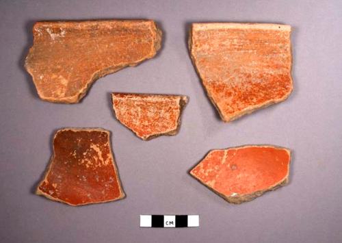 Vaca Falls Red Potsherds: Vaca Falls Variety