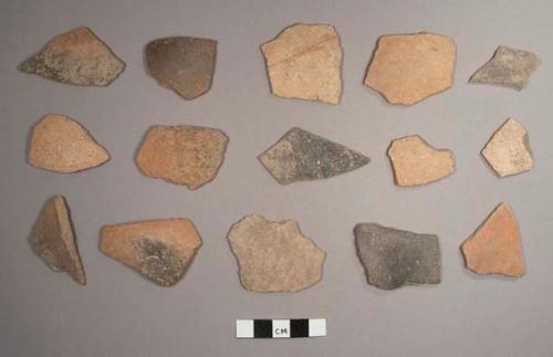 Palma Daub Potsherds: Palma Variety