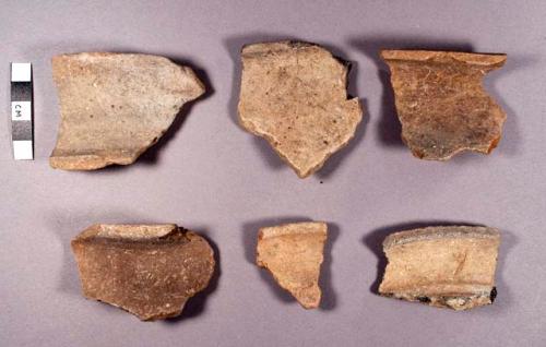 Eastern Branch Plain Potsherds: Eastern Branch Variety