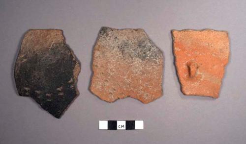 Chan Pond Potsherds: Plain, Rough-white-punched