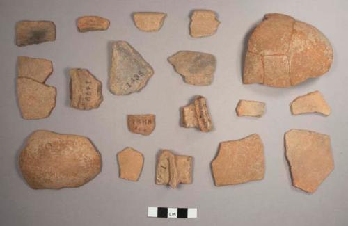 Jocote Orange-brown Potsherds: Jocote Variety