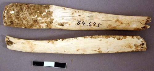 Organic, faunal remains, utilized bone fragments