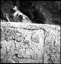 Detail of Lintel 57 at Yaxchilan