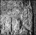 Detail of Lintel 57 at Yaxchilan