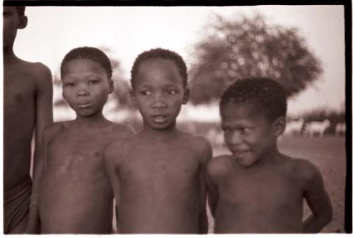 Three boys standing