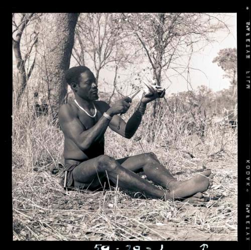 Bela wearing traditional clothing, cleaning wart-hog tusks