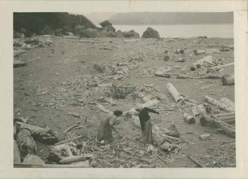 Grace Nicholson and Molly gathering driftwood at mouth of Klamath River