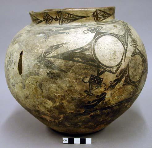 Jar, polacca polychrome style b, Zuni rain bird design.