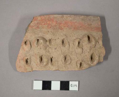 Ceramic rim sherd with impressed decorative designs