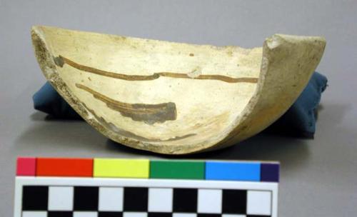 Fragment of pottery bowl. Jeddito black-on-yellow