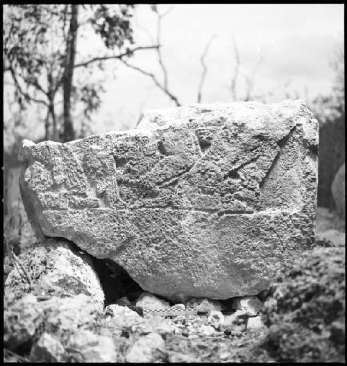 Fragment of Stela 11 at Uxmal