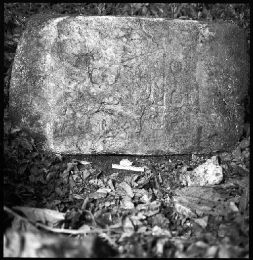 Lintel 51 at Yaxchilan