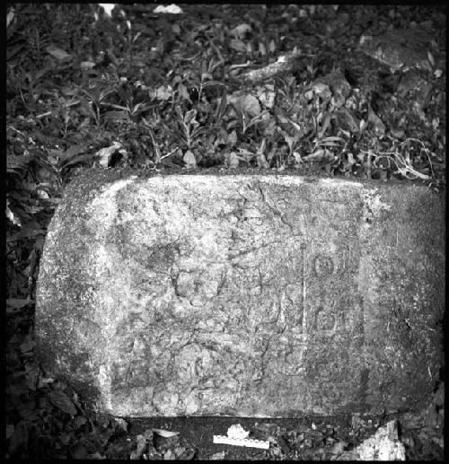 Lintel 51 at Yaxchilan