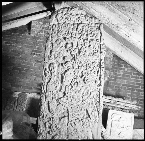 Plaster cast of stela from Xcoralche