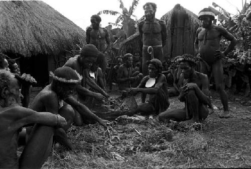 Wali, Milika, Pumika and others cooking a pig for the feast given by Wali and Wereklowé in Wuperainma I