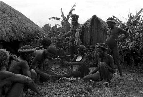 Wali, Milika, Pumika (pointing) and others cooking a pig for the feast given by Wali and Wereklowé in Wuperainma I