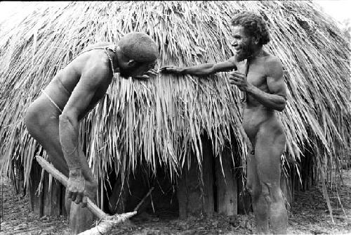Apeori and another man with stone axe going to trim grass on the entrance to the new honai
