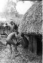 Apeori and other men trimming the grass over the sides of the honai